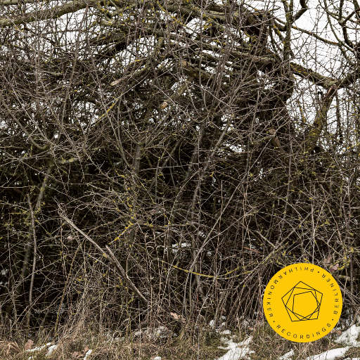 免费裸体奶头❌羞羞动漫
